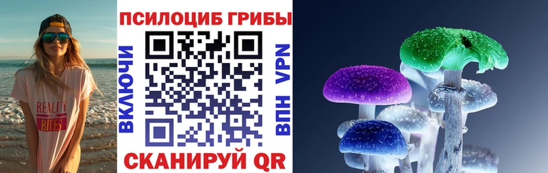 Псилоцибиновые грибы мицелий  Шелехов 